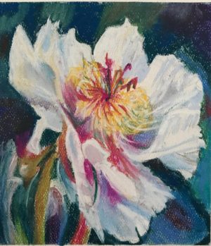 Flower pastel 5.5 x 6.5 inches on Canson pastel paper 19"x12" Peony pastel painting